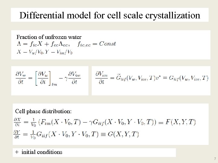 Differential model for cell scale crystallization Fraction of unfrozen water Cell phase distribution: +