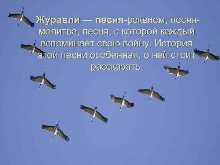 Журавли — песня-реквием, песнямолитва, песня, с которой каждый вспоминает свою войну. История этой песни