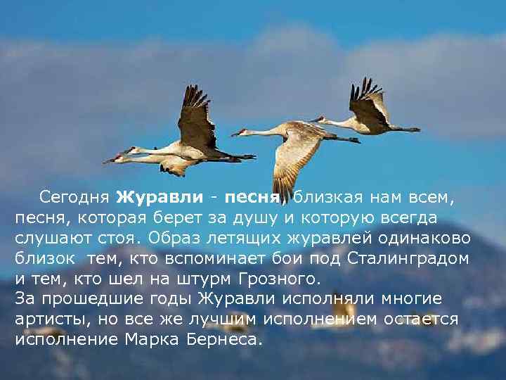  Сегодня Журавли - песня, близкая нам всем, песня, которая берет за душу и