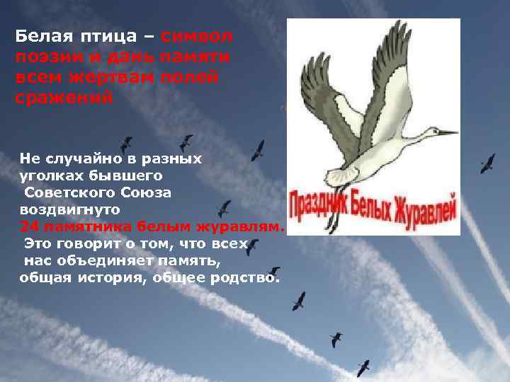 Белая птица – символ поэзии и дань памяти всем жертвам полей сражений Не случайно