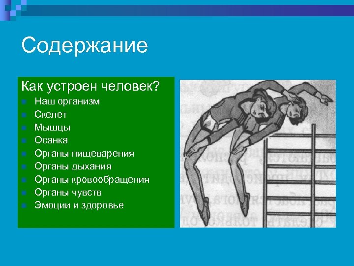 Содержание Как устроен человек? n n n n n Наш организм Скелет Мышцы Осанка
