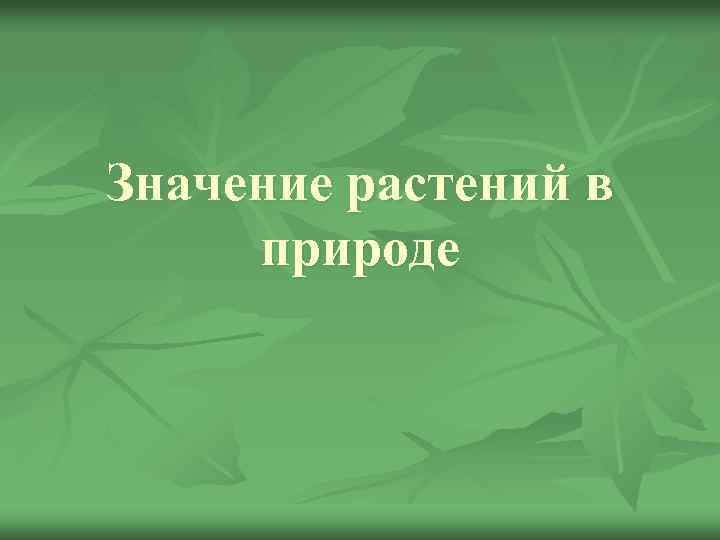 Значение растений в природе 