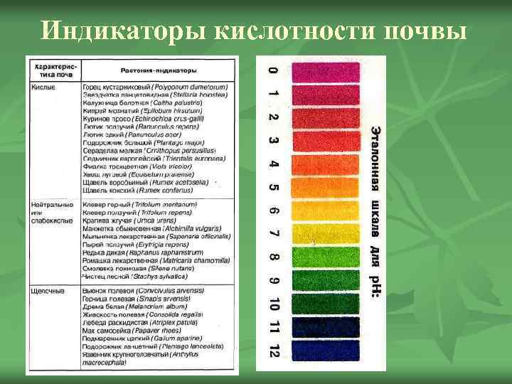 Индикаторы кислотности почвы 