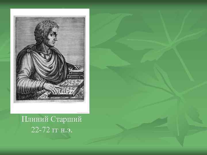 Плиний Старший 22 -72 гг н. э. 