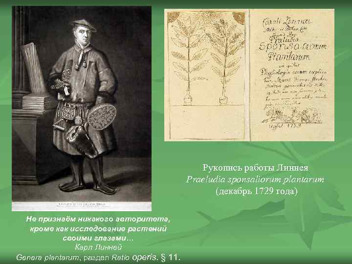 Рукопись работы Линнея Praeludia sponsaliorum plantarum (декабрь 1729 года) Не признаём никакого авторитета, кроме