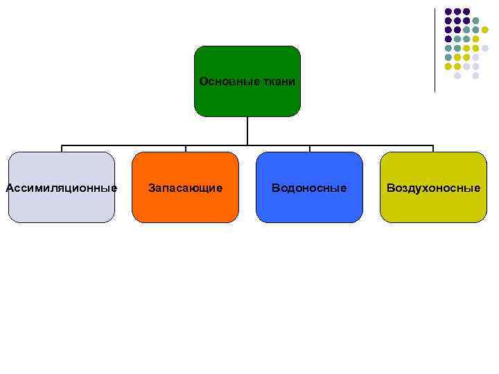 Основные ткани Ассимиляционные Запасающие Водоносные Воздухоносные 