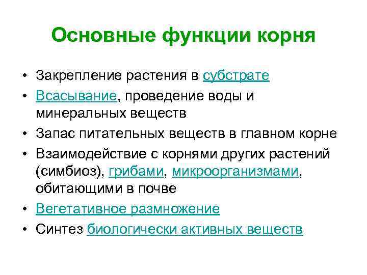Основные функции корня • Закрепление растения в субстрате • Всасывание, проведение воды и минеральных