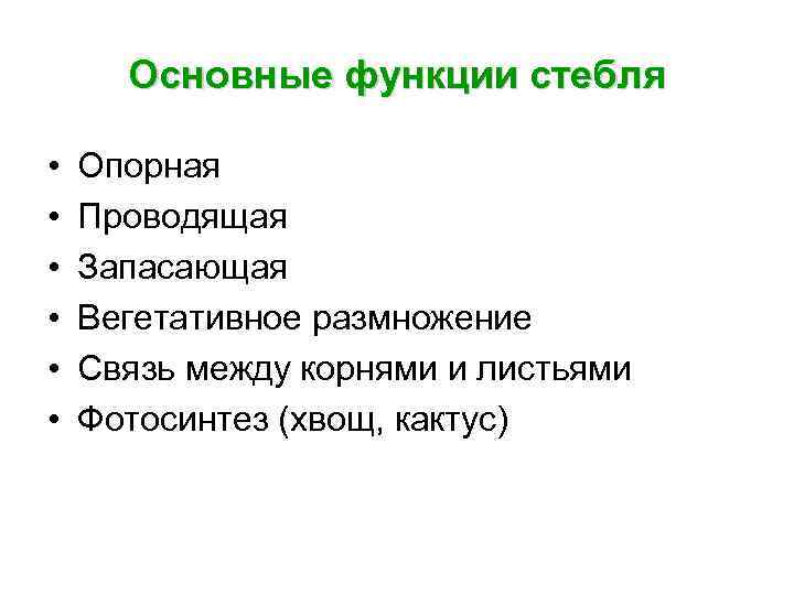 Основные функции стебля • • • Опорная Проводящая Запасающая Вегетативное размножение Связь между корнями