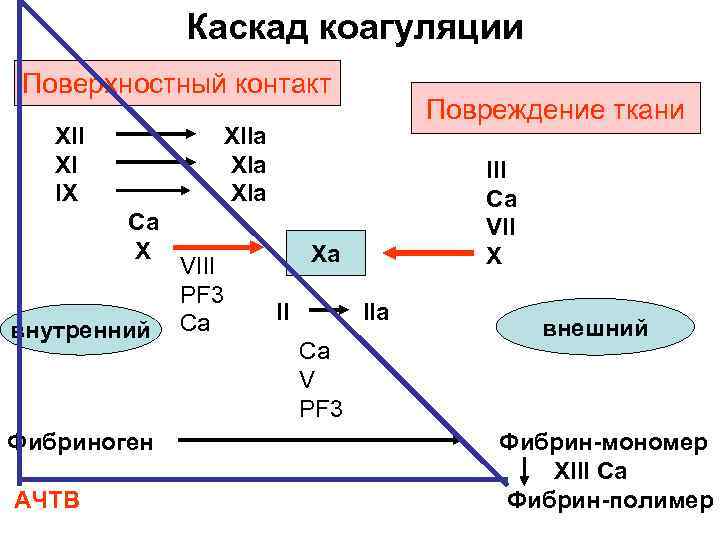 Каскад коагуляции схема