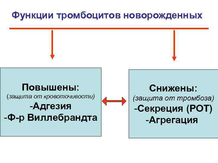 Функции тромбоцитов новорожденных Повышены: (защита от кровоточивости) -Адгезия -Ф-р Виллебрандта Снижены: (защита от тромбоза)