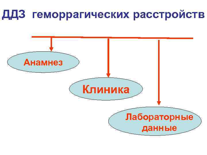 ДДЗ геморрагических расстройств Анамнез Клиника Лабораторные данные 