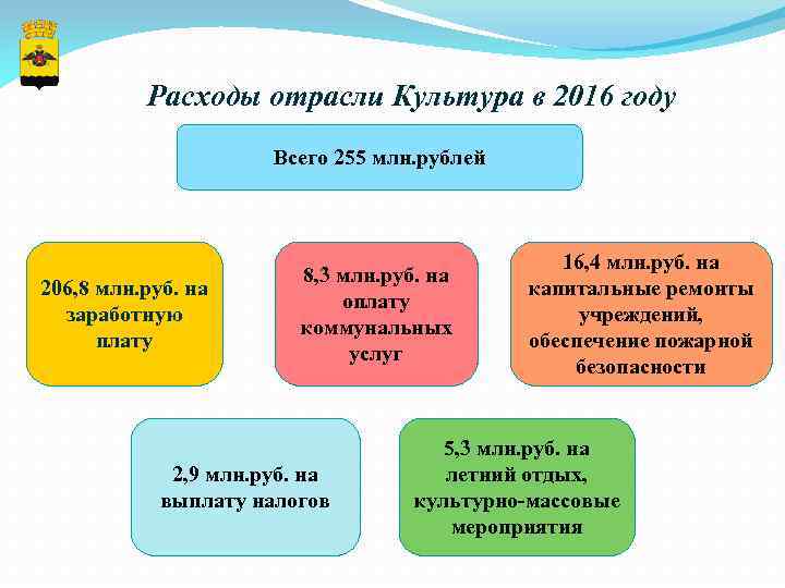 Расходы отрасли Культура в 2016 году Всего 255 млн. рублей 206, 8 млн. руб.