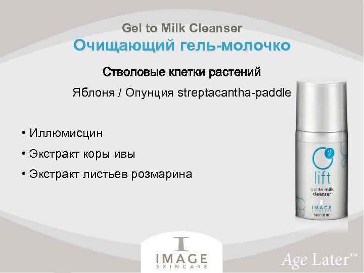 Gel to Milk Cleanser Очищающий гель-молочко Стволовые клетки растений Яблоня / Опунция streptacantha-paddle •