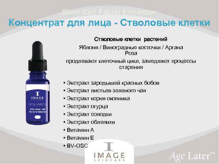 Stem Cell Facial Enhancer Концентрат для лица - Стволовые клетки растений Яблоня / Виноградные