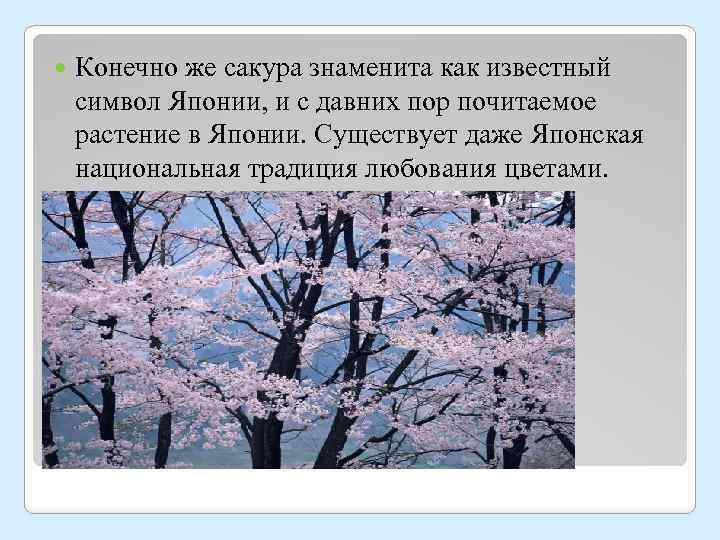  Конечно же сакура знаменита как известный символ Японии, и с давних пор почитаемое