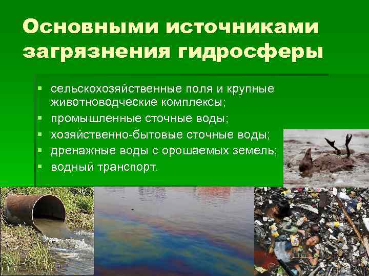 Основными источниками загрязнения гидросферы § сельскохозяйственные поля и крупные животноводческие комплексы; § промышленные сточные