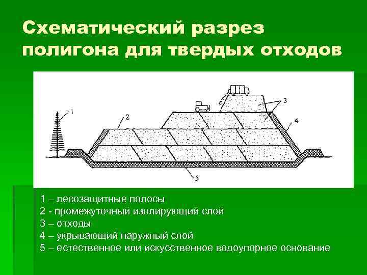 Схематический разрез полигона для твердых отходов 1 – лесозащитные полосы 2 - промежуточный изолирующий