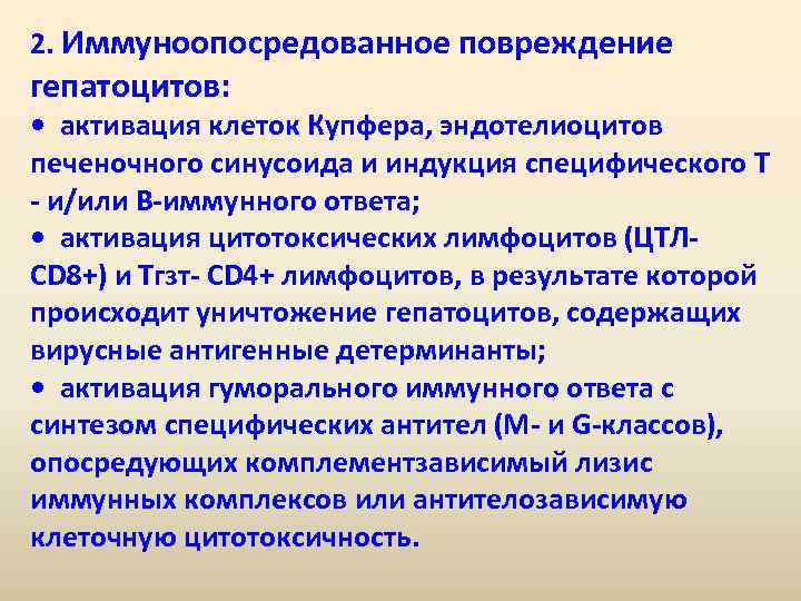 2. Иммуноопосредованное повреждение гепатоцитов: • активация клеток Купфера, эндотелиоцитов печеночного синусоида и индукция специфического