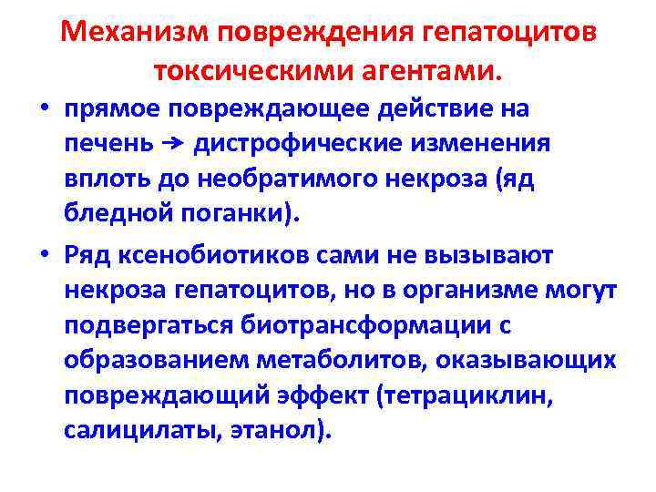 Механизм повреждения. Механизмы повреждения гепатоцитов. Механизм повреждения гепатоцитов токсическими агентами. Основные механизмы повреждения гепатоцитов. Механизм повреждения гепатоцитов при гепатите.