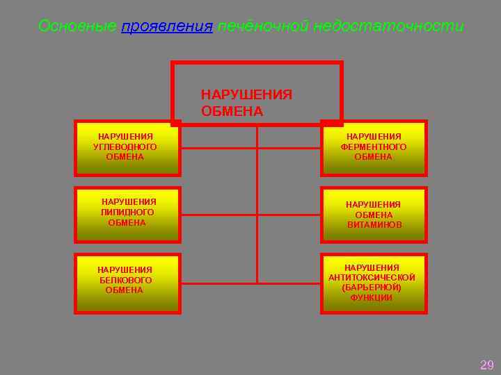 Основные проявления печёночной недостаточности НАРУШЕНИЯ ОБМЕНА НАРУШЕНИЯ УГЛЕВОДНОГО ОБМЕНА НАРУШЕНИЯ ЛИПИДНОГО ОБМЕНА НАРУШЕНИЯ БЕЛКОВОГО