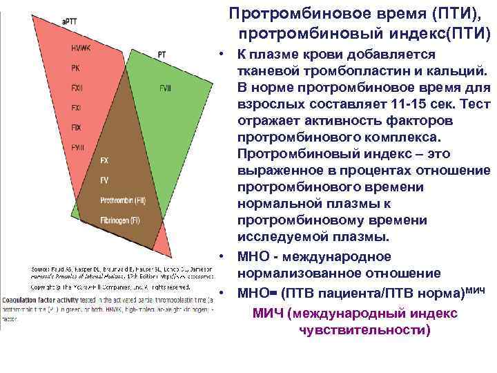 Протромбиновое время (ПТИ), протромбиновый индекс(ПТИ) • К плазме крови добавляется тканевой тромбопластин и кальций.