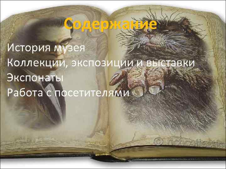 Содержание История музея Коллекции, экспозиции и выставки Экспонаты Работа с посетителями 