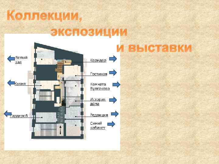 Коллекции, экспозиции и выставки 