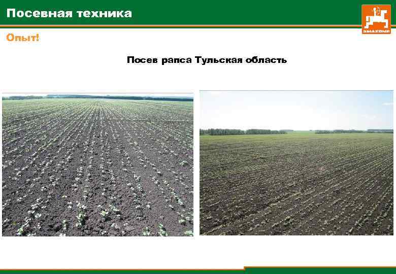 Посевная техника Опыт! Посев рапса Тульская область 