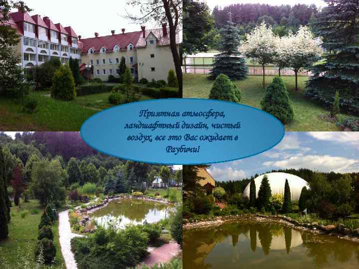 Приятная атмосфера, ландшафтный дизайн, чистый воздух, все это Вас ожидает в Раубичи! 