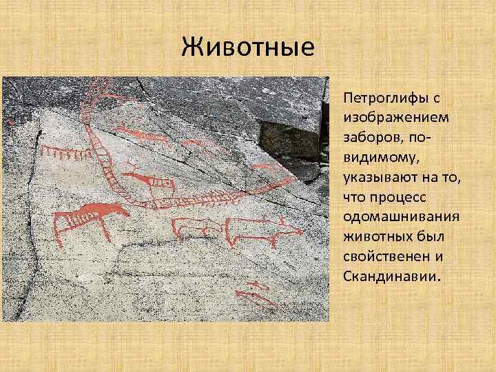 Животные Петроглифы с изображением заборов, повидимому, указывают на то, что процесс одомашнивания животных был