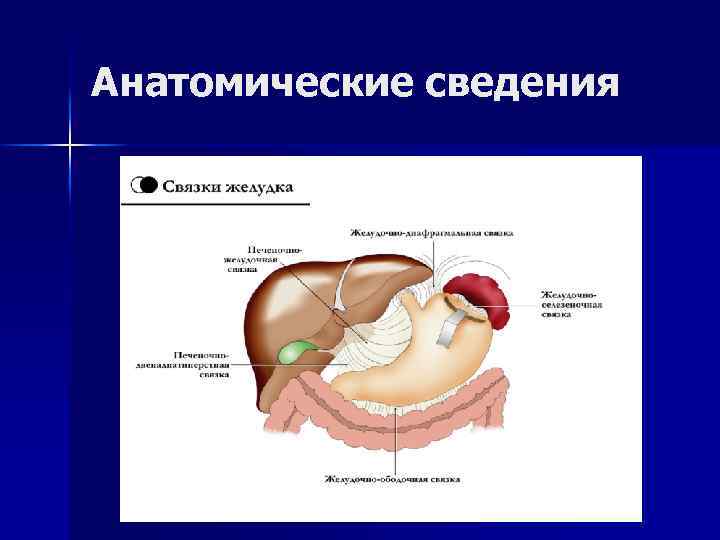 Клиническая картина язвенной болезни желудка