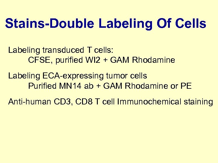 Stains-Double Labeling Of Cells Labeling transduced T cells: CFSE, purified WI 2 + GAM