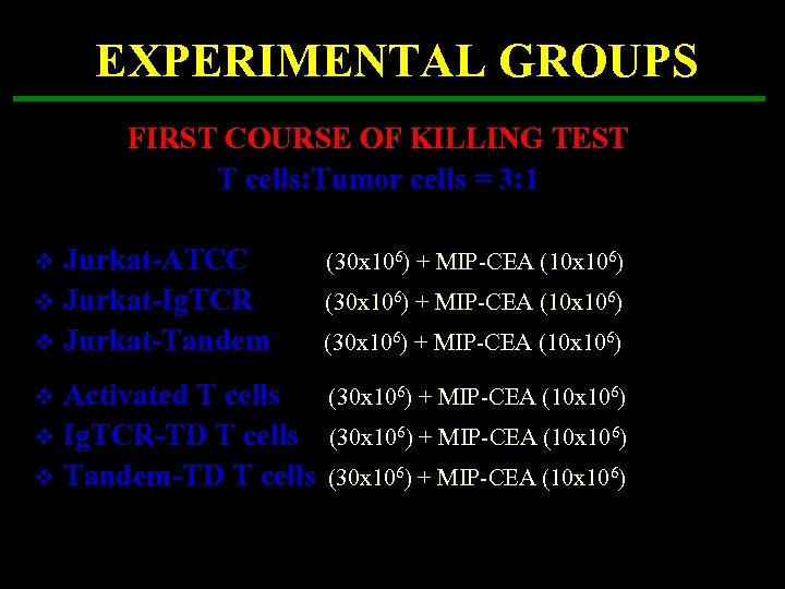 EXPERIMENTAL GROUPS FIRST COURSE OF KILLING TEST T cells: Tumor cells = 3: 1
