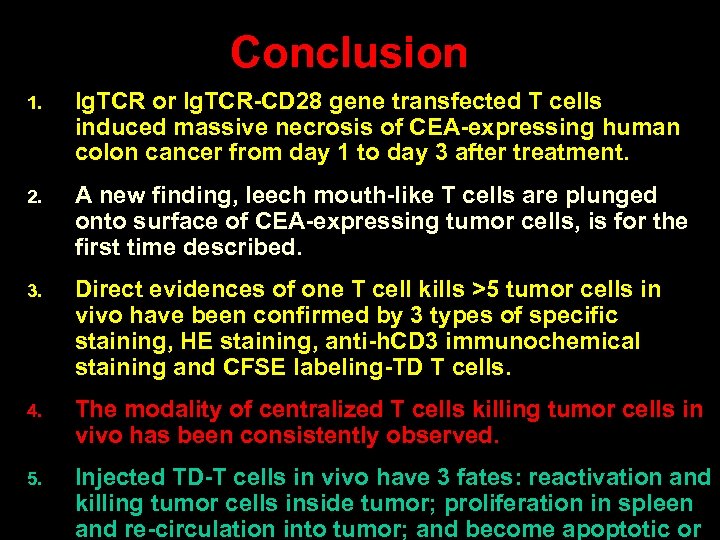 Conclusion 1. Ig. TCR or Ig. TCR-CD 28 gene transfected T cells induced massive