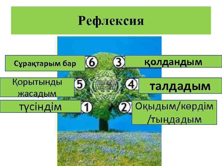 Рефлексия Сұрақтарым бар Қорытынды жасадым түсіндім қолдандым талдадым Оқыдым/көрдім /тыңдадым 