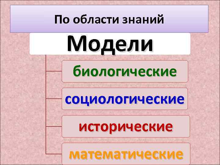 По области знаний Модели биологические социологические исторические математические 