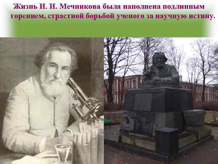 Жизнь И. И. Мечникова была наполнена подлинным горением, страстной борьбой ученого за научную истину.