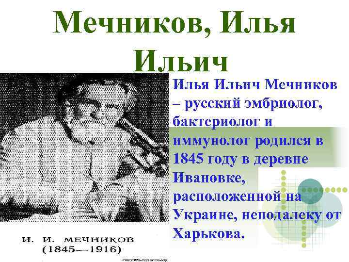 Мечников, Илья Ильич Мечников – русский эмбриолог, бактериолог и иммунолог родился в 1845 году