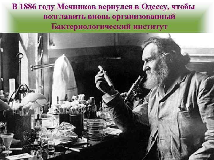 В 1886 году Мечников вернулся в Одессу, чтобы возглавить вновь организованный Бактериологический институт 