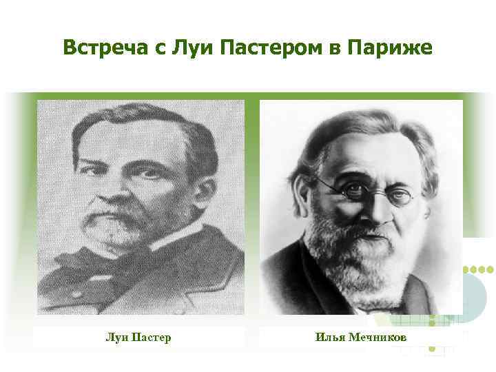 Встреча с Луи Пастером в Париже Луи Пастер Илья Мечников 