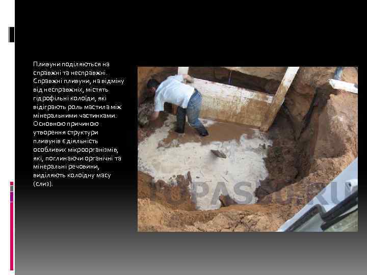 Пливуни поділяються на справжні та несправжні. Справжні пливуни, на відміну від несправжніх, містять гідрофільні