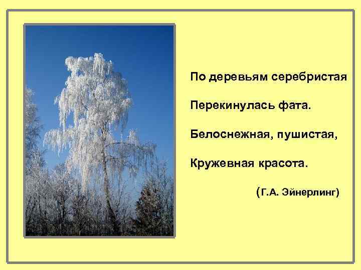 По деревьям серебристая Перекинулась фата. Белоснежная, пушистая, Кружевная красота. (Г. А. Эйнерлинг) 