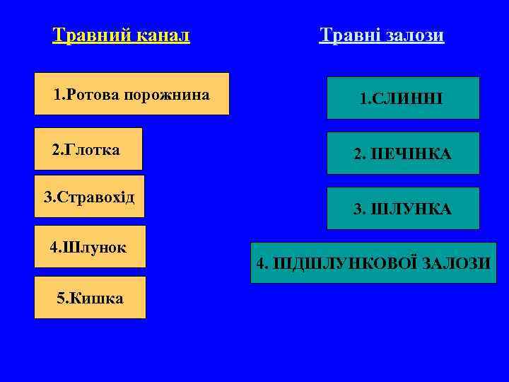 Травний канал 1. Ротова порожнина 2. Глотка 3. Стравохід 4. Шлунок 5. Кишка Травні