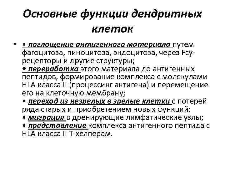 Основные функции дендритных клеток • • поглощение антигенного материала путем фагоцитоза, пиноцитоза, эндоцитоза, через