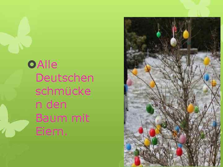  Alle Deutschen schmücke n den Baum mit Eiern. 