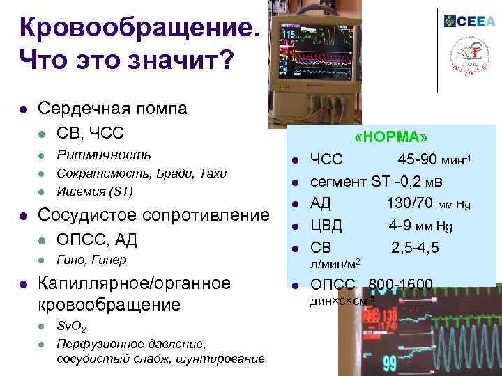 Кровообращение. Что это значит? l Сердечная помпа l СВ, ЧСС l Ритмичность l Сократимость,