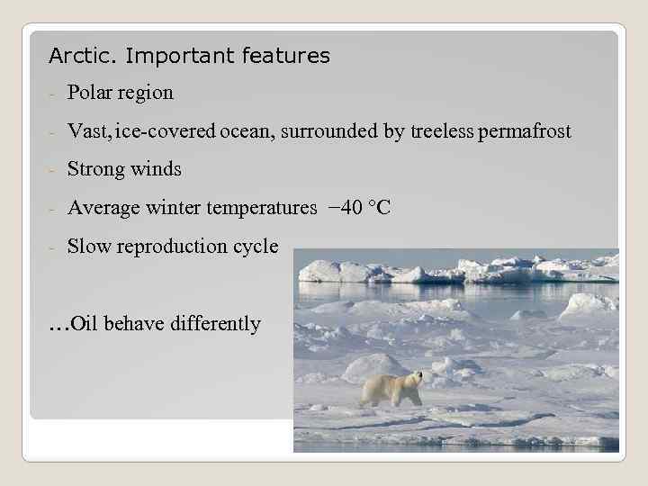 Arctic. Important features - Polar region - Vast, ice-covered ocean, surrounded by treeless permafrost