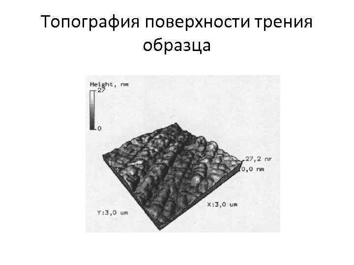 Топография поверхности трения образца 