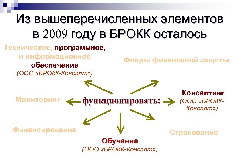 Из вышеперечисленных элементов в 2009 году в БРОКК осталось Техническое, программное, и информационное обеспечение