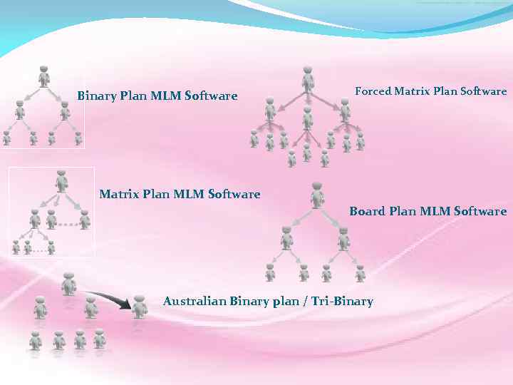 Binary Plan MLM Software Forced Matrix Plan Software Matrix Plan MLM Software Board Plan
